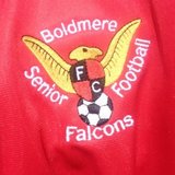 Boldmere Falcons