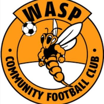 Alloa Wasps2009 profile image